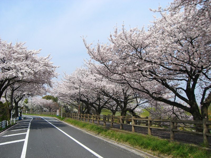 下町探検