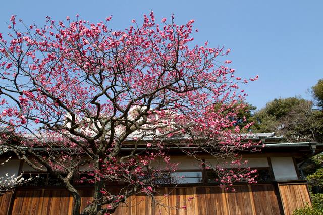 下町探検