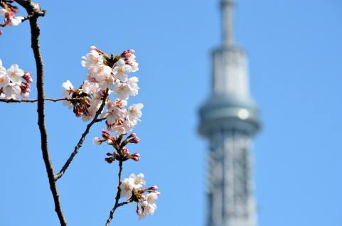 下町探検