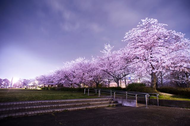 下町探検