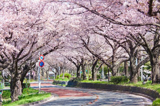 下町探検