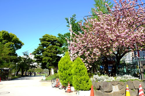 下町探検