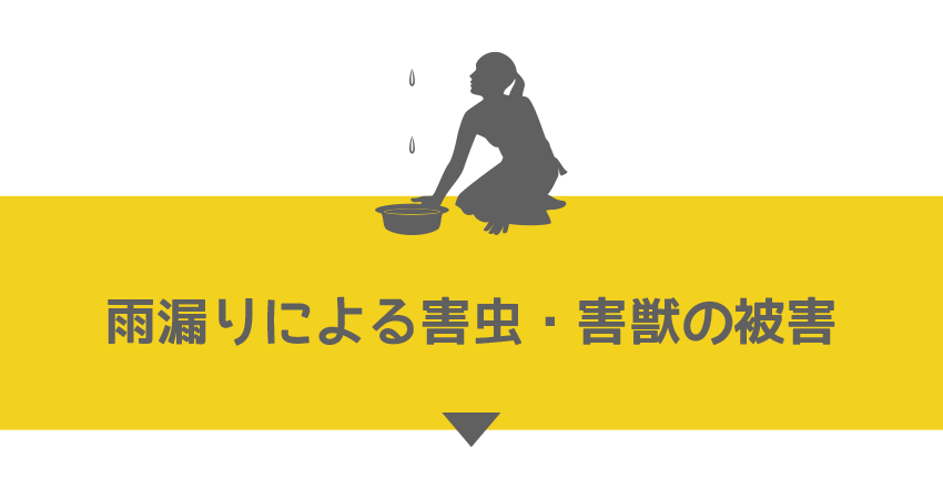 雨漏りによる害虫・害獣の被害