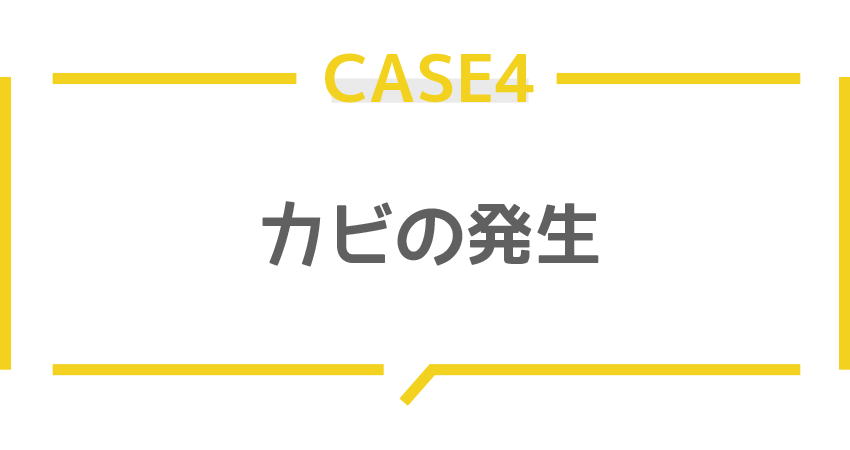 カビの発生