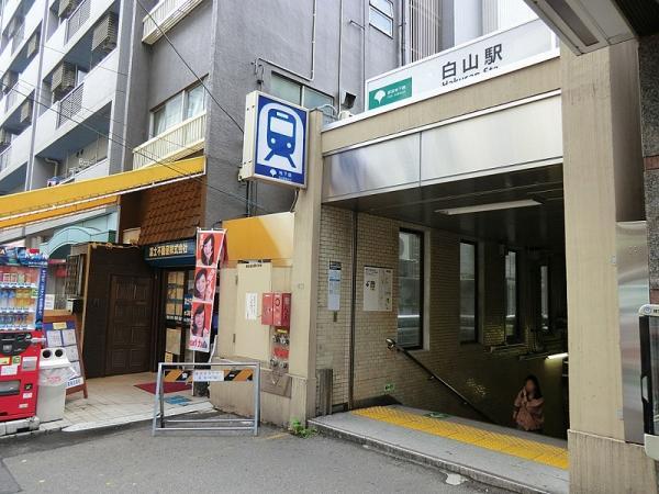 ãæäº¬åºãç½å±±ãã®ç»åæ¤ç´¢çµæ