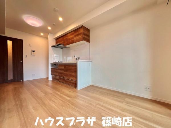 中古マンションライオンズマンション平井東京都江戸川区平井１丁目JR中央・総武線平井駅4299万円